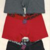 Boxer Leonard