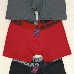Boxer Leonard
